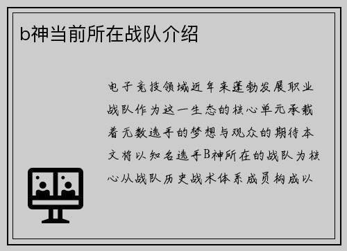 b神当前所在战队介绍